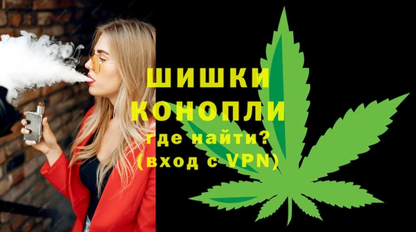 PSILOCYBIN Покачи