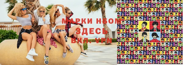 PSILOCYBIN Покачи
