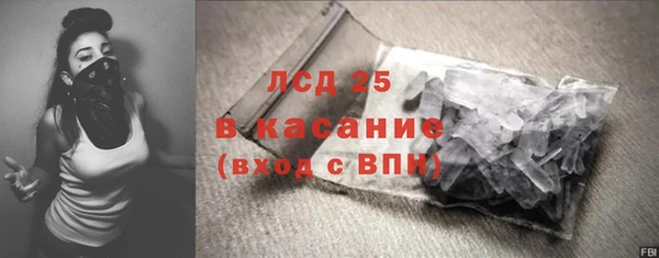 PSILOCYBIN Покачи
