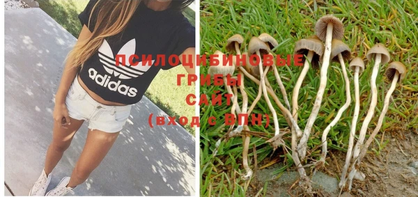 PSILOCYBIN Покачи